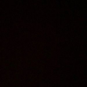 Meet your Posher, Ty